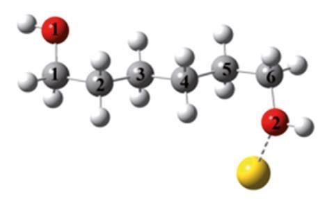 Source: © Shengfu Yang/University of LeicesterVan der Waals forces loosely hold the gold atom to the diol molecule