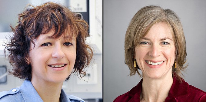 Emmanuelle Charpentier (left) and Jennifer Doudna (right) teamed up to turn a bacterial defense system into a gene editor.FROM LEFT: HELMHOLTZ/HALLBAUER