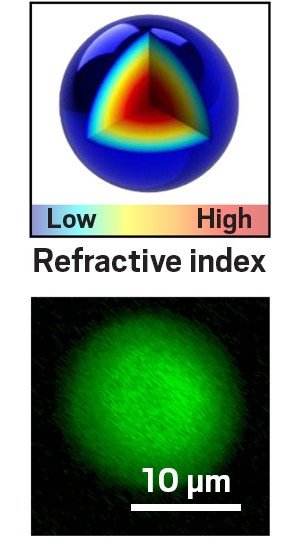 The nanoscale spherical Luneburg lens features a gradient of refractive indices (top) thanks to a higher density of polymer in the center of the shape, as shown in this fluorescence microscopy image of the sphere's cross section (bottom).