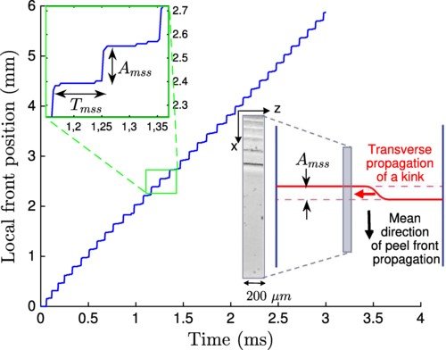 arquivo sem legenda ou nome